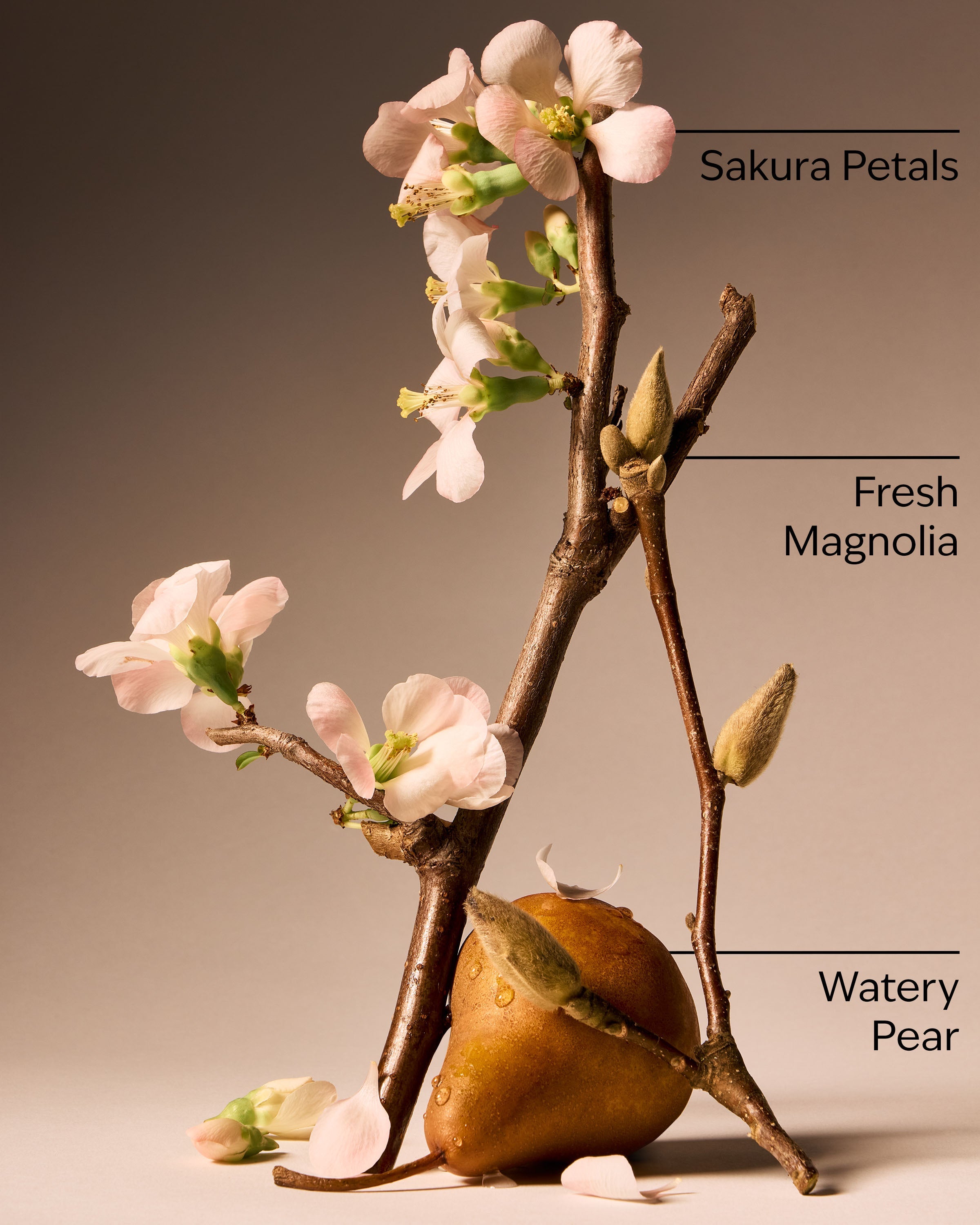 Forever Cherry Blossom Body Lotion