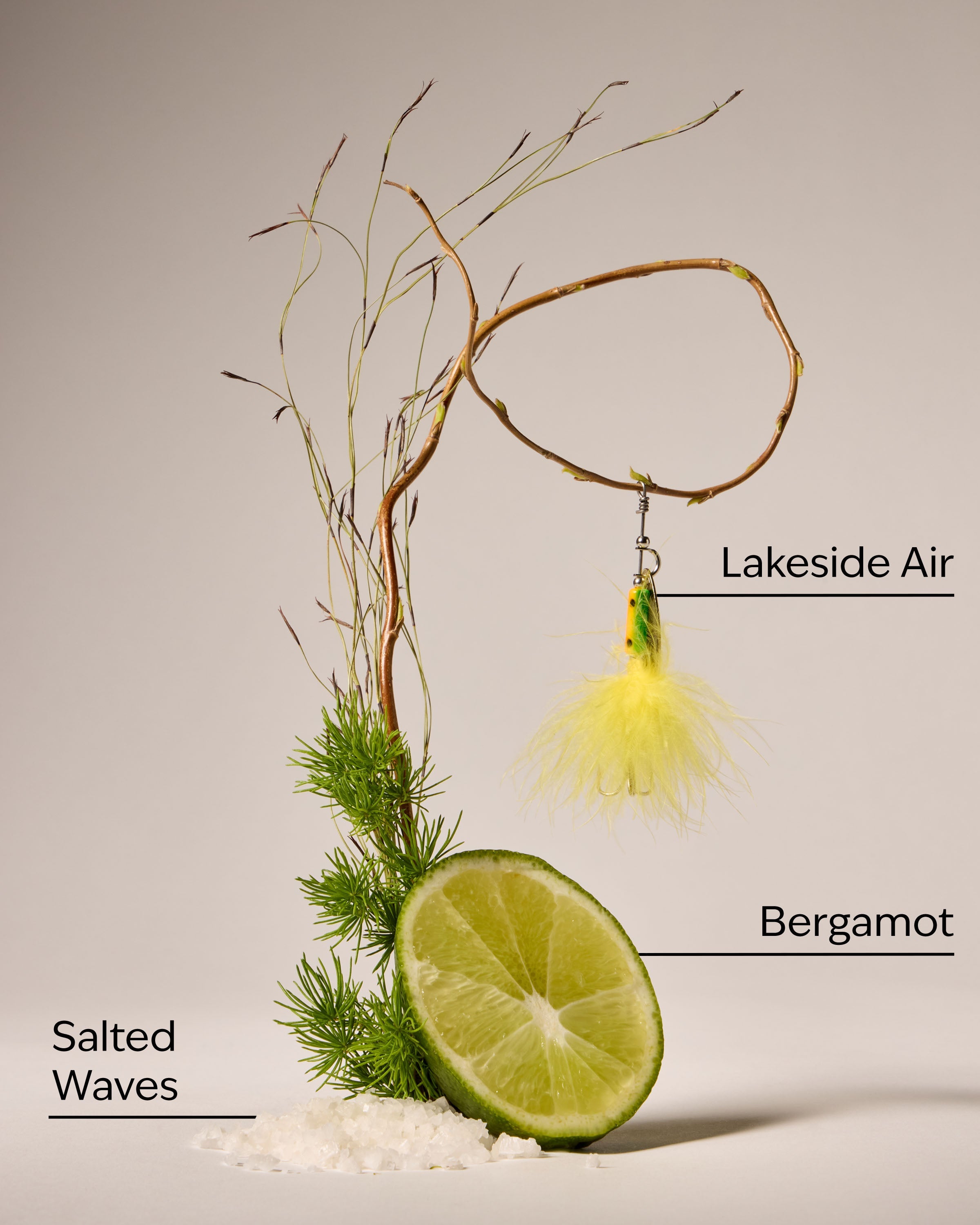 Gone Fishing Wallflowers Refills 2-Pack