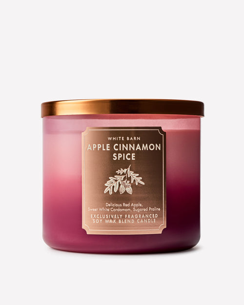 Apple Cinnamon Spice 3-Wick Candle