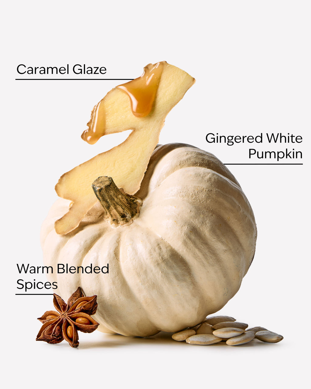 White Pumpkin Hanging Fragrance Diffuser